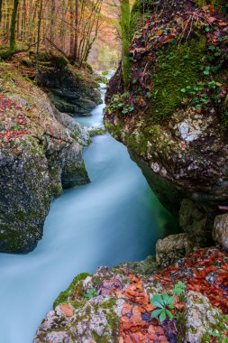 Dağlarda, Mostnica Korita, Julia Alpleri'nin muhteşem nehir