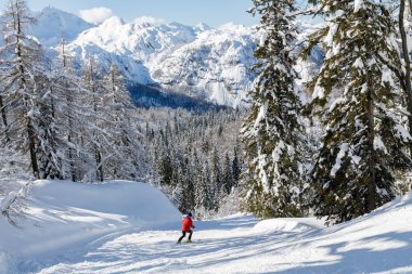 Karlı dağ manzarası ile Julian Alps