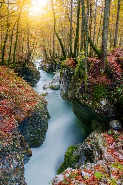 Erstaunlicher Fluss in den Bergen, mostnica korita, julia alps — Stockfoto