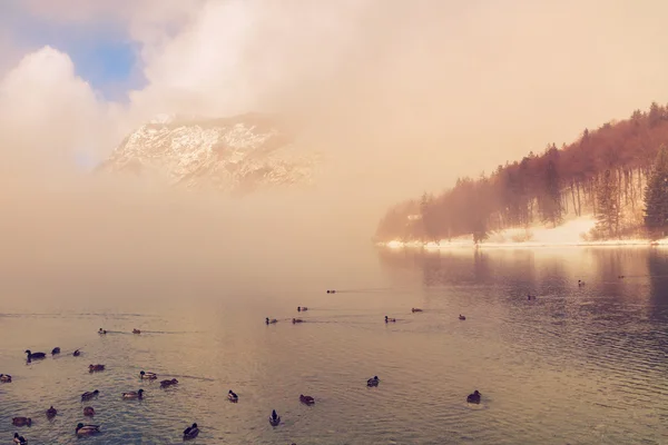 Lago Bohinj os Alpes Julianos — Fotografia de Stock