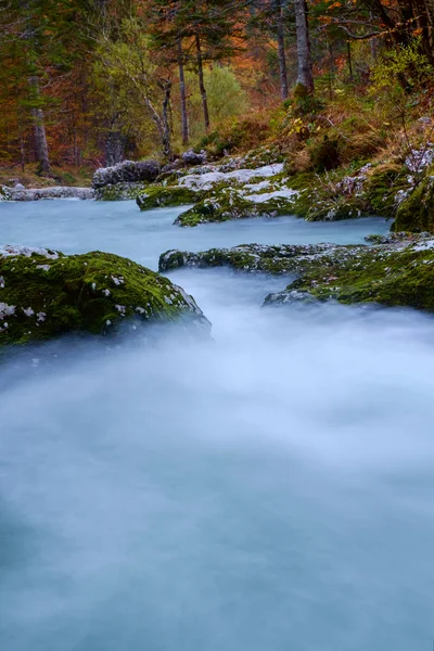 Amazing river in the mountains, Mostnica Korita, Julia alps Royalty Free Stock Photos