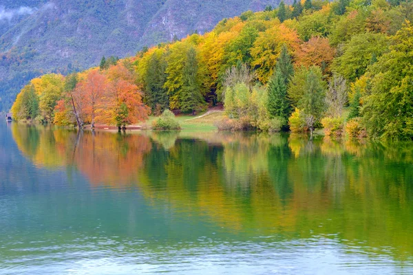 Bohinjsjön Julian alperna — Stockfoto