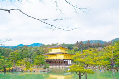 Kinkakuji Tapınağı, Kyoto Japonya altın köşk