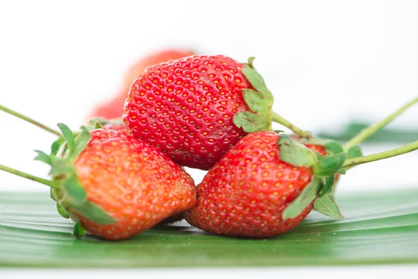 Fresas frescas sobre hoja de plátano — Foto de Stock