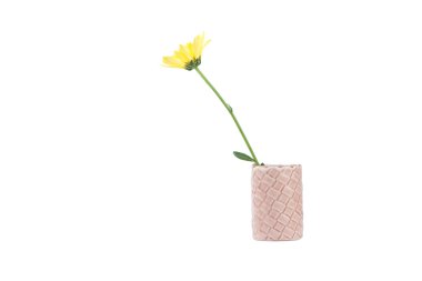 Seramik vazo içinde izole sarı çiçek