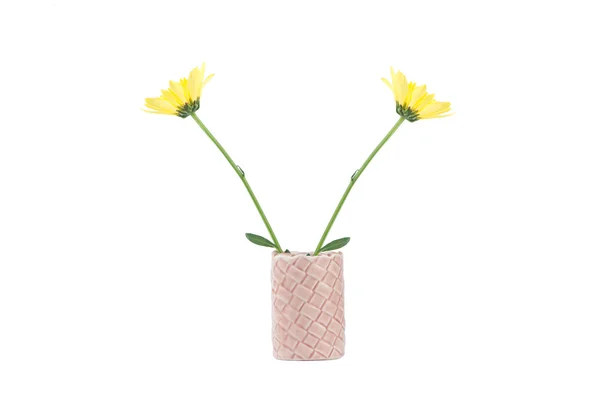 独立的黄色花在陶瓷花瓶 — 图库照片