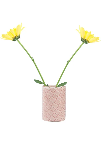 独立的黄色花在陶瓷花瓶 — 图库照片