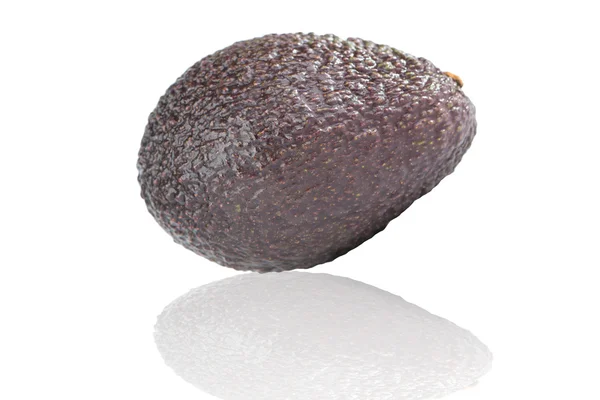 Avocado vruchten op witte — Stockfoto