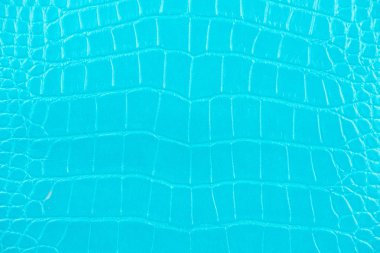 Timsah deri doku closeup arka plan