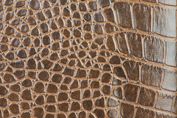 Krokodilleder Textur Nahaufnahme Hintergrund — Stockfoto