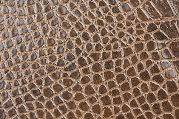 Pelle di coccodrillo texture primo piano sfondo — Foto Stock