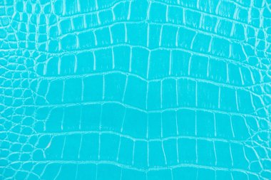 Timsah deri doku closeup arka plan