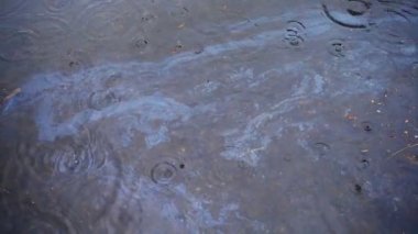 Su birikintisine akan petrol