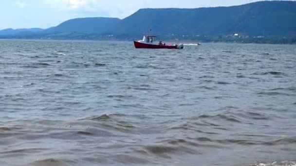 Kis csónak a parton — Stock videók