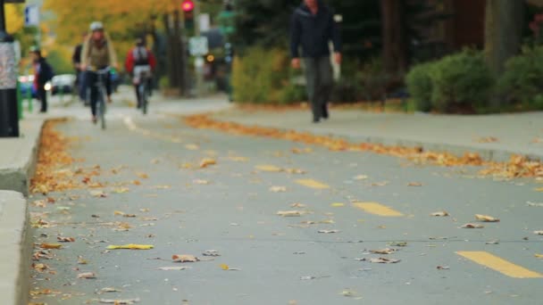 Cyklistická stezka a lidé na kole na podzim — Stock video