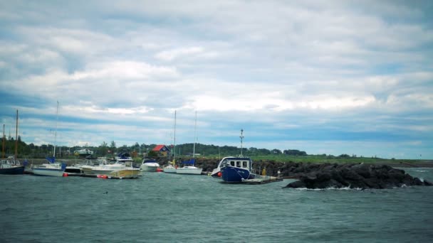 Vista dos barcos em Carleton Marina — Vídeo de Stock