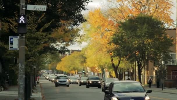 Auto's verplaatsen op rachel street — Stockvideo