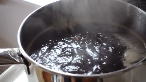 Process of home beer brewing — Stock Video