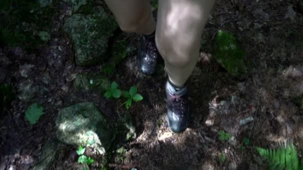 Женщина ходит по лесной тропе — стоковое видео