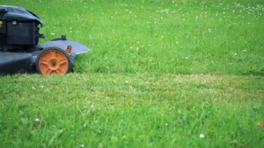 Eylem closeup biçme