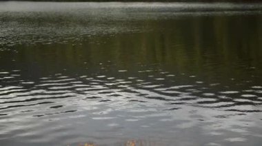 Su Dalgalanmalarının Yavaş Hareketi