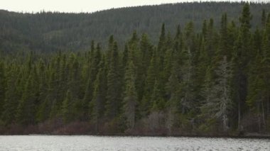 Bir Tekneden Dağ, Orman ve Göl