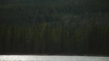 Bir Tekneden Dağ, Orman ve Göl