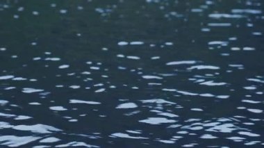 Su Dalgalanmalarının Yavaş Hareketi