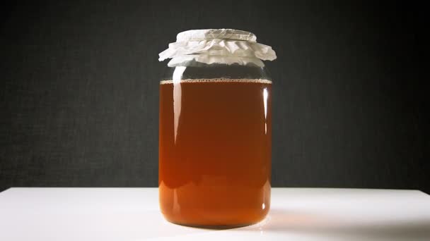 Kombucha Fermentação Timelapse — Vídeo de Stock