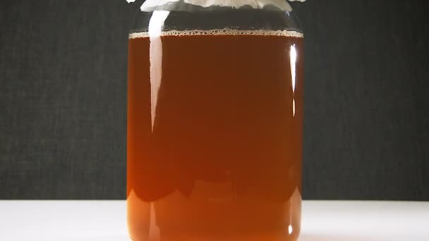 Kombucha Fermentação Timelapse — Vídeo de Stock