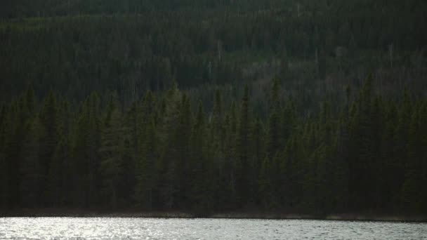 Berg, skog och sjö från en båt — Stockvideo