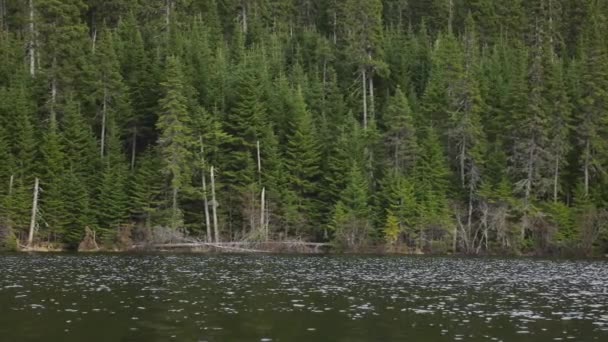 Гора, лес и озеро с лодки — стоковое видео