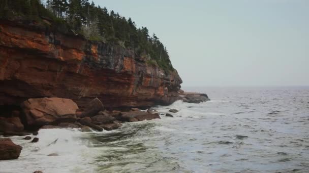 Landschaft mit Audio auf der Insel Bonaventure in Percé — Stockvideo