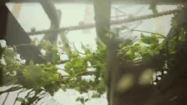 Konileri Santralden Ayırmak İçin Hops Makinesinin Yavaş Hareketi.