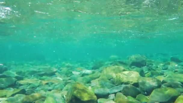 "Slow Motion Limpid Agua dulce y limpia de río y rocas en Quebec — Vídeos de Stock