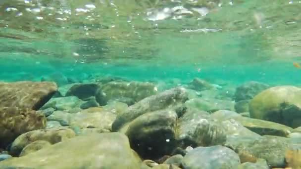 "Slow Motion Limpid Agua dulce y limpia de río y rocas en Quebec — Vídeo de stock