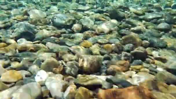 "Slow Motion Limpid Fresh Czysta woda rzeczna i skały w Quebecu — Wideo stockowe