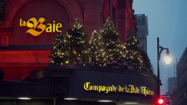 Slow Motion La Baie Store Xmas Lights flickering in Montreal at Night — Stock Video