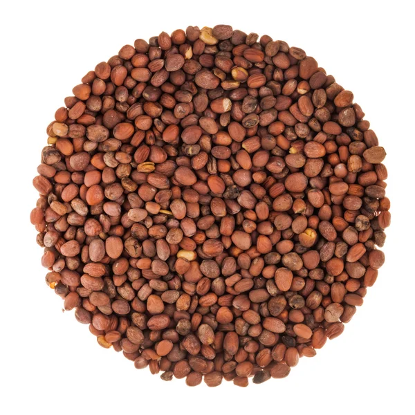 Círculo de sementes de rabanete isolado em branco — Fotografia de Stock
