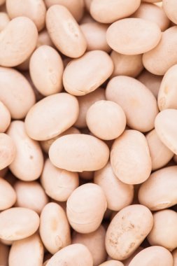 Makro doku bej fasulye