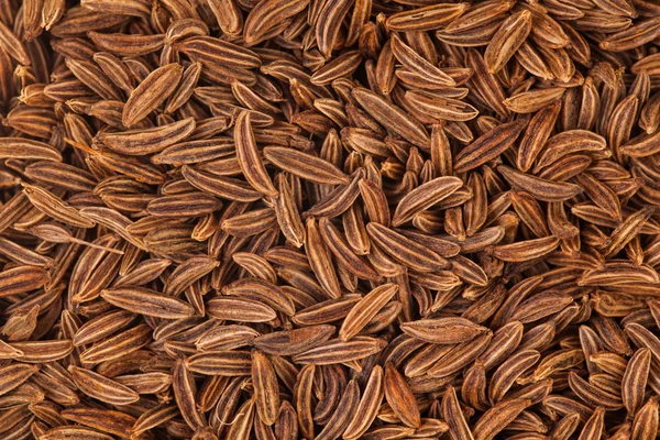 Caraway Seeds — Stock Photo, Image