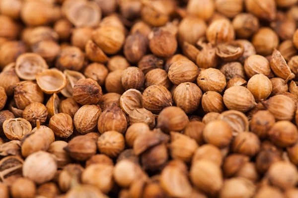 Coriander Seeds Extreme Closeup — Stock Photo, Image