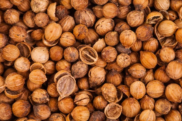 Coriander Seeds Extreme Closeup — Stock Photo, Image