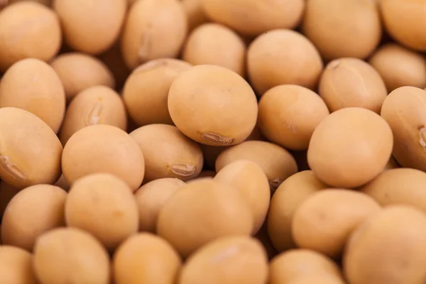 Macro Texture of Beige Peas — Stock Photo, Image