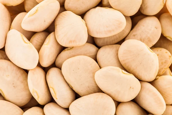 Macro Texture of White Beans — Stock Photo, Image