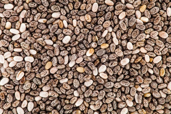 Extrémní closeup textura chia semena - studio zastřelil — Stock fotografie