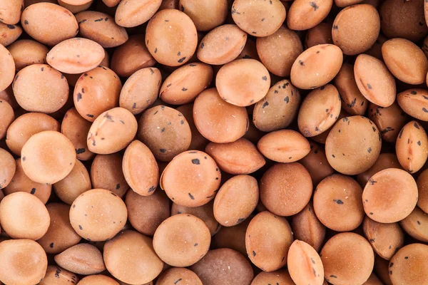 Extreme Closeup Texture of Lentils — Stock Photo, Image