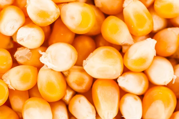 Extreme close-up textuur van maïs zaden — Stockfoto