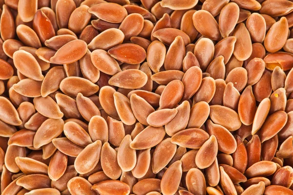 Macro di semi di lino — Foto Stock