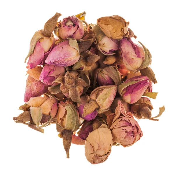 Roses Tea Bud Stock Picture